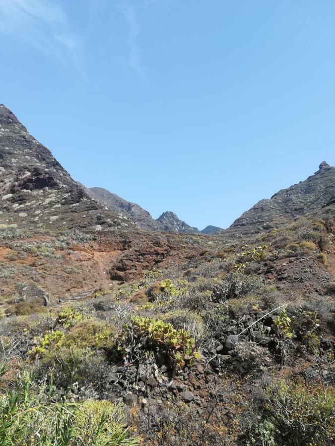Tenerife Santa Cruz de Tenerife Exterior photo